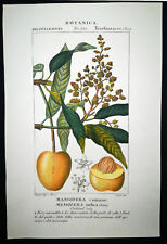 1831 turpin incisione usato  Urbino