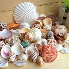 Mixed sea beach d'occasion  Expédié en Belgium