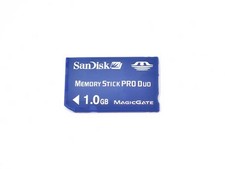 Scheda memoria sandisk usato  Bologna