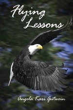 Flying lessons for sale  Little Falls