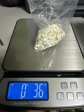 3.6 bag tiny for sale  Warner Robins