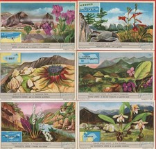 Figurine liebig serie usato Figurine liebig serie usato  Bologna