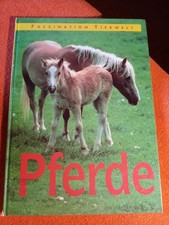 Buch pferde faszination gebraucht kaufen Buch pferde faszination gebraucht kaufen  Xanten
