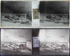 stereoscope for sale stereoscope for sale UK