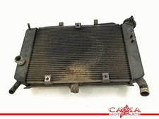 RADIADOR Yamaha XJ 6 2009-2012 (XJ6 XJ6S XJ6N Diversion) 2011 20S124610100 comprar usado  Enviando para Brazil