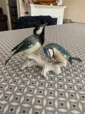 Oiseaux karl ens d'occasion  Sées