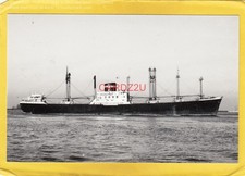 Nedlloyd elbe 1959 for sale  FELIXSTOWE