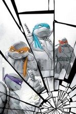 Teenage mutant ninja for sale  Port Jervis