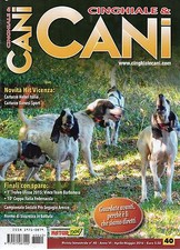 Cinghiale cani 2016 usato  Campagna