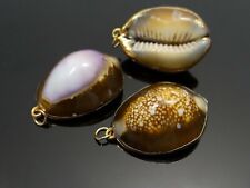 Kauri muschel anhänger gebraucht kaufen  Neusäß