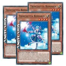 trinchetta usato  Ravenna