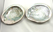 Abalone shell iridescent for sale  Williamsburg