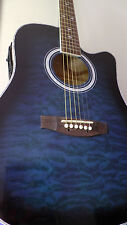 Indiana dreadnought acoustic gebraucht kaufen  Ulsnis