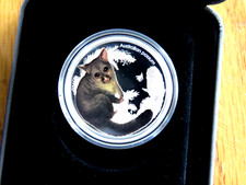2013 australian possum for sale  Bensalem