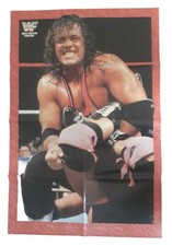 Wwf bret the gebraucht kaufen  Schwerin