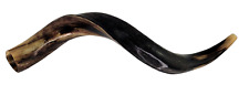 Yemenite kudu horn for sale  Rogers