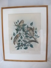 Daniel giraud elliot for sale  Portland