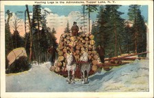 Cartão postal vintage TUPPER LAKE NEW YORK NY troncos de transporte em Adirondacks comprar usado  Enviando para Brazil