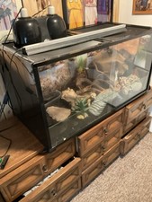 Reptile terrarium habitat for sale  Grover Beach
