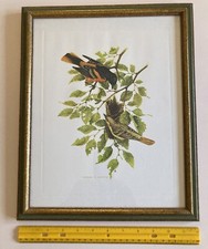 Vtg charles murphy for sale  Mansfield Center