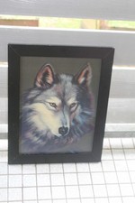 Bild wolf gebraucht kaufen Bild wolf gebraucht kaufen  Duisburg