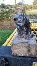 rspca cats for sale  LOUTH