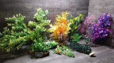 Lot aquarium plants for sale  Cut Off