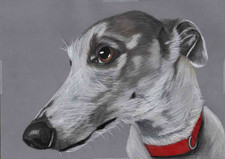 Original colour pencil for sale  SOUTHSEA