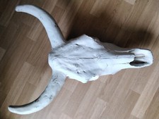 Western stabiler bisonkopf gebraucht kaufen  Deutschland