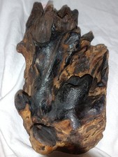 West elm driftwood for sale  Philadelphia