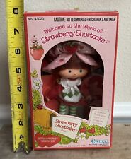 Vintage kenner strawberry for sale  Port Saint Lucie