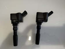 Coppia bobine volkswagen usato  Conselve