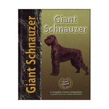 Giant schnauzer barbara for sale  UK