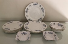Richmond blue rock for sale  WORCESTER