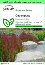Saflax garden cogongras gebraucht kaufen  Münster