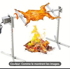 Kit rôtisserie d'occasion  Paris I
