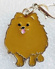 Pomeranian white brown for sale  Cincinnati