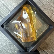 Burmese cretaceous amber for sale  GRAYS