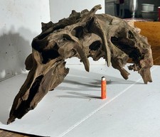 Large natural driftwood for sale  Screven