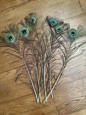 Peacock feathers set for sale  KINGSTON UPON THAMES