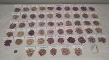 Hardneck garlic bulbils for sale  Reading