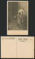 Russell terrier dog for sale  UK