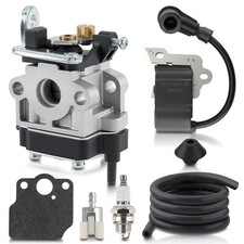 Carburetor ignition coil d'occasion  Expédié en Belgium