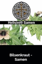 Schwarzes bilsenkraut hyoscyam gebraucht kaufen  Schwabach