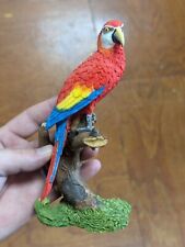 Large red macaw for sale  Doerun