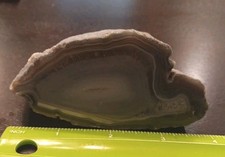 278g beautiful natural for sale  Owensboro