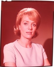 Inger stevens borgia for sale  Laguna Beach
