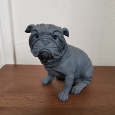 Grey sitting english for sale  HORNSEA