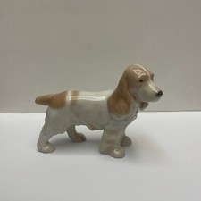 cocker spaniel usato  Squinzano