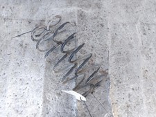 Molle ammortizzatori posterior usato Molle ammortizzatori posterior usato  Torre del Greco